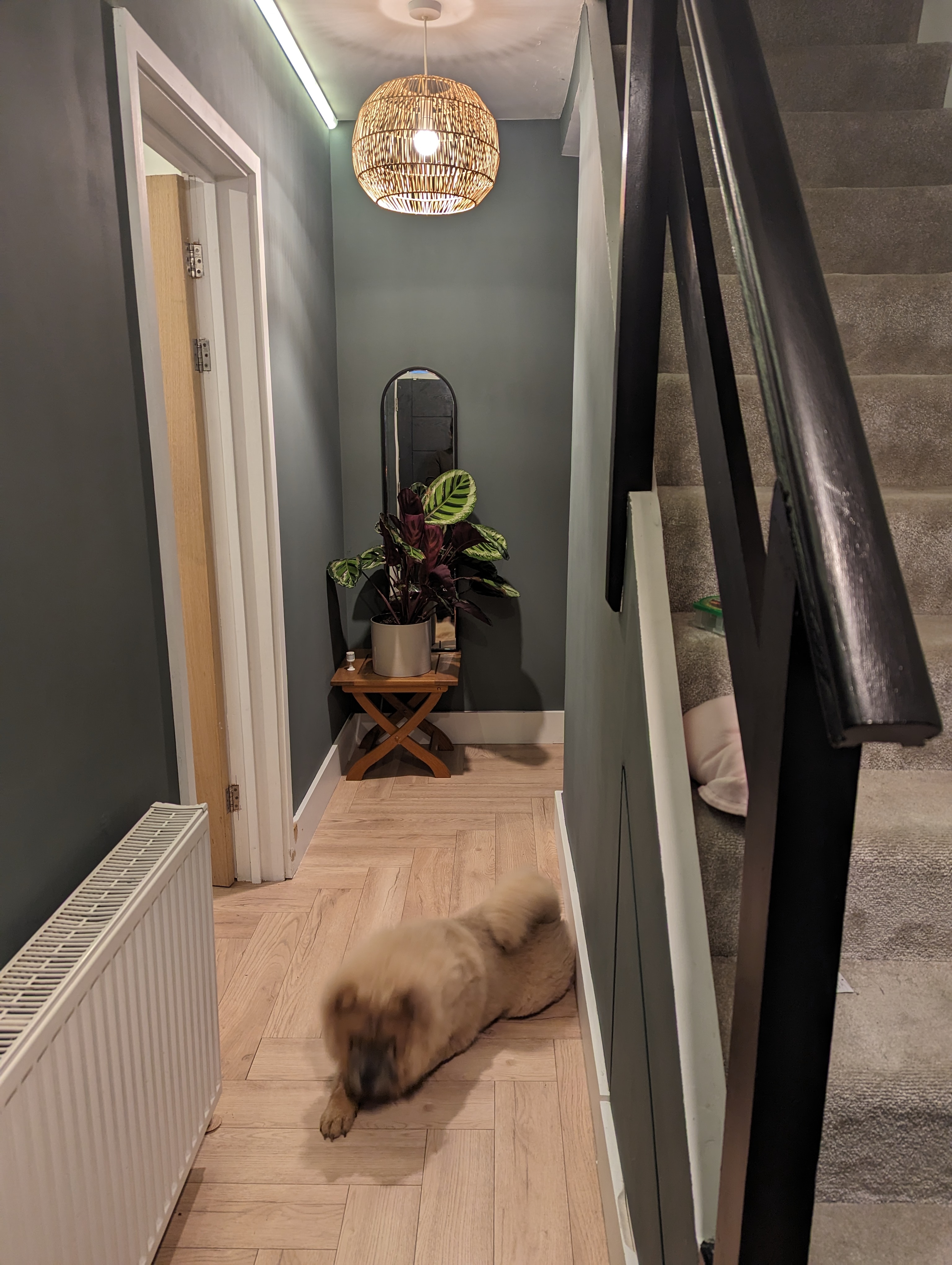Before — Renovated mid-terrace · dark green